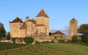 Vue extérieure du Château de Pierreclos