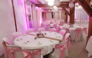 Salle de fête du Château de Rocher