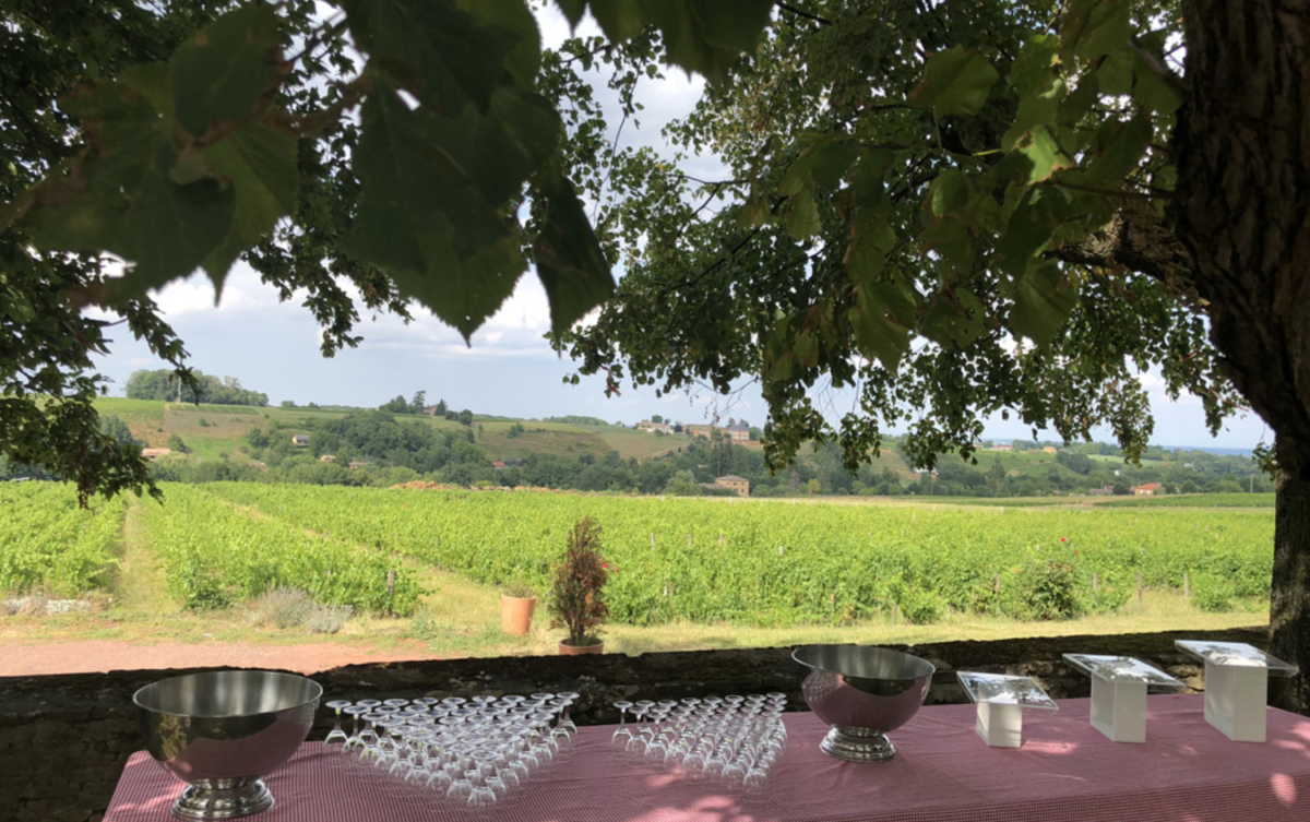 Vue extérieure du Domaine de Bénévent sur les cépages