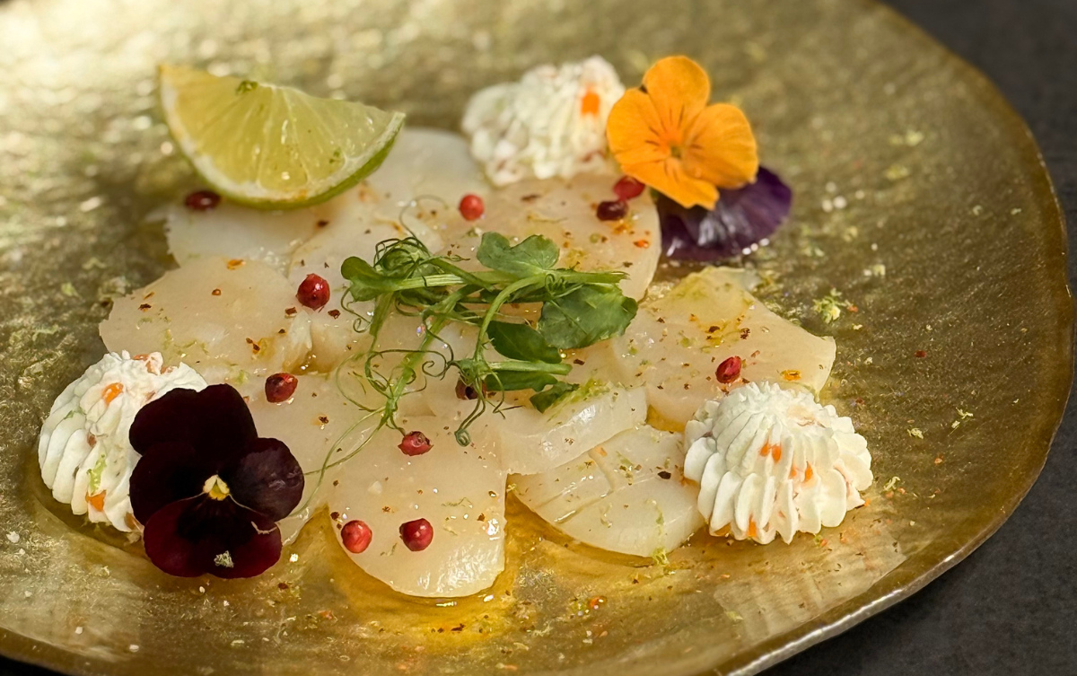 carpaccio de st-jacques